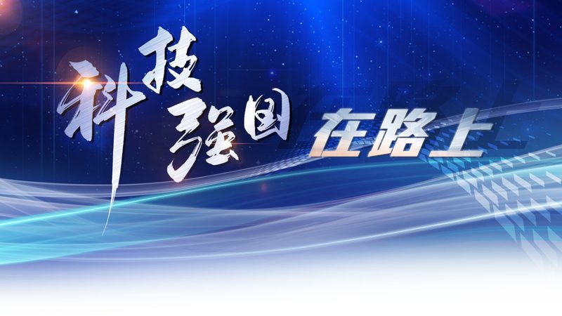 揭秘SaaS平台：收费标准背后的差异化逻辑